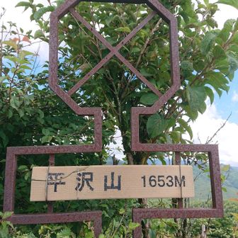 平沢山到着。