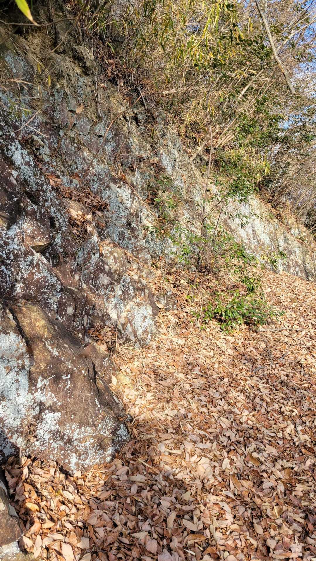 こちらに行くと破線ルートで下山になります。
ここの山の破線ルートは、恐ろしそうな気がするので止めておきます。