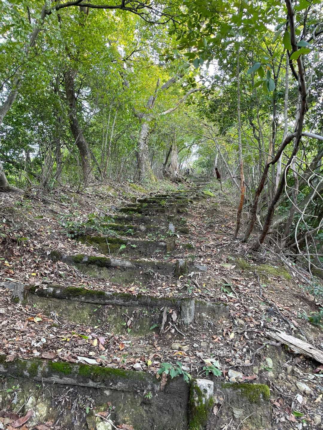 階段が続きます。
結構キツい