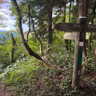 ちらりと晴れ間も⤴︎
