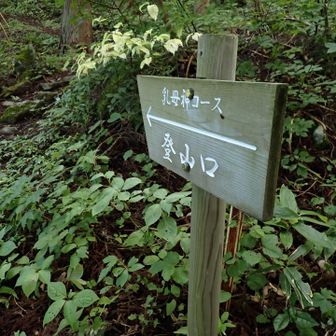 登山口まで案外遠い。
1kmぐらいあるのでは？と話しながら
