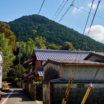 振り返って。