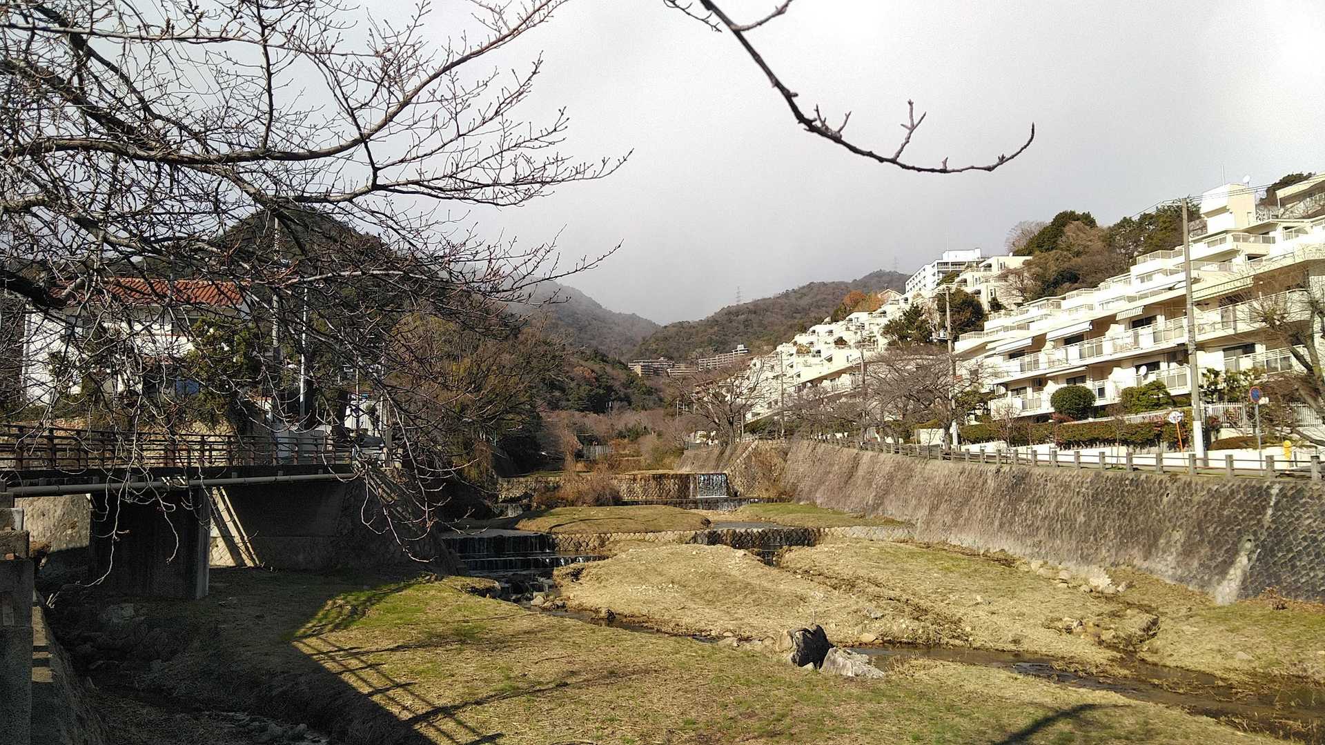 芦屋川駅-城山 往復コースの写真
