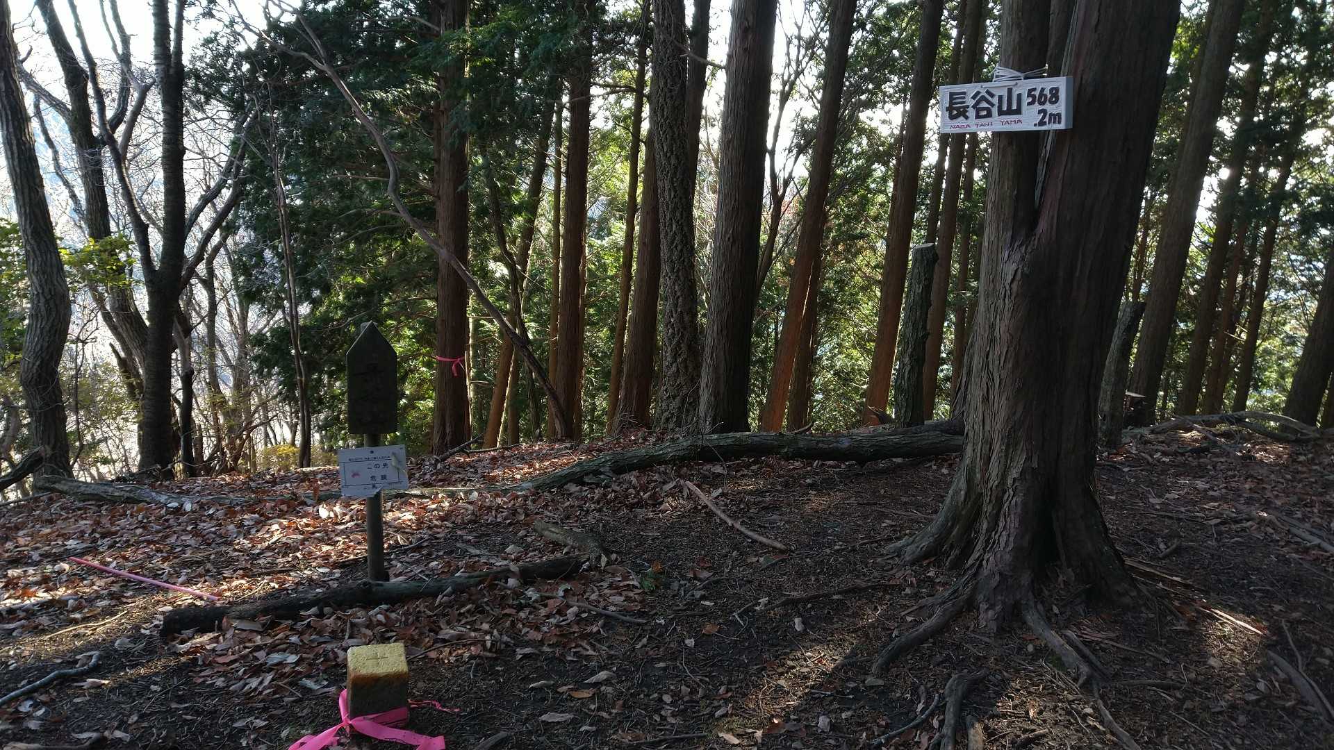 この後ろの破線ルートから下山
すんごい急斜面😱
よちよちと慎重に下りました😁

おつかれさんでした〜