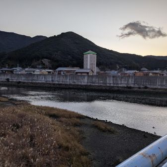 第２錦タワー。中河内川