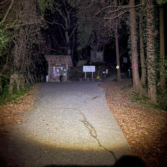 ここから真っ暗。