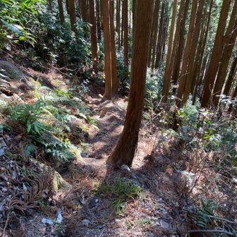 小下沢林道への道は滑りやすい