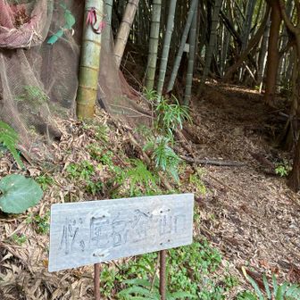 m(_ _)mマジ😰ヤバい。　キツかった。