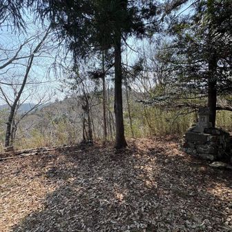 祠のある少し開けた山頂