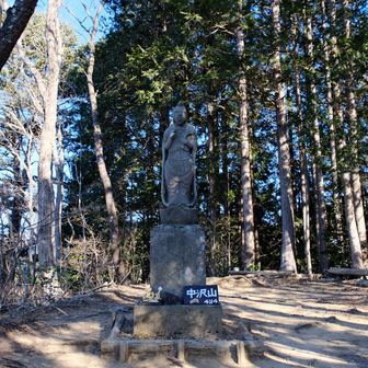 中沢山