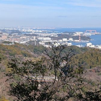 矢落山から田浦港、奥に横浜