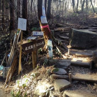 昨日、🥾登山以外で体力を消耗したのでお昼スタートです😅💦