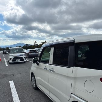 駐車場も早朝から大変賑わっていました。週末ということもあり、200~300人ぐらいはいたのかなと思いました。