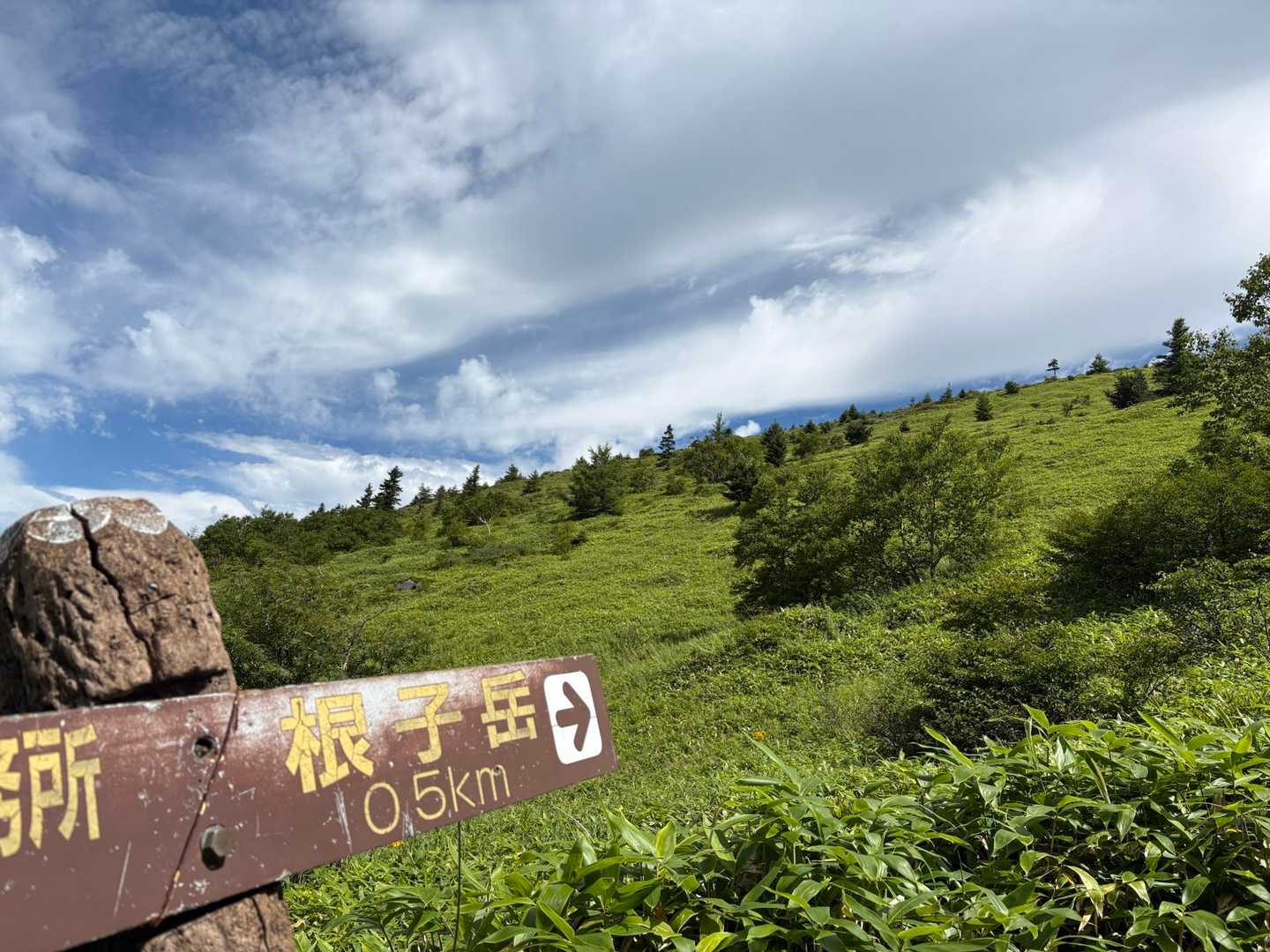 ゼーゼー😵‍💫
こんなんでいつか四阿山まで行けるのかな