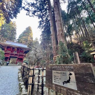 三本杉

祈祷に集中し、本日は写真少なめ…ご利益あるといい🙇