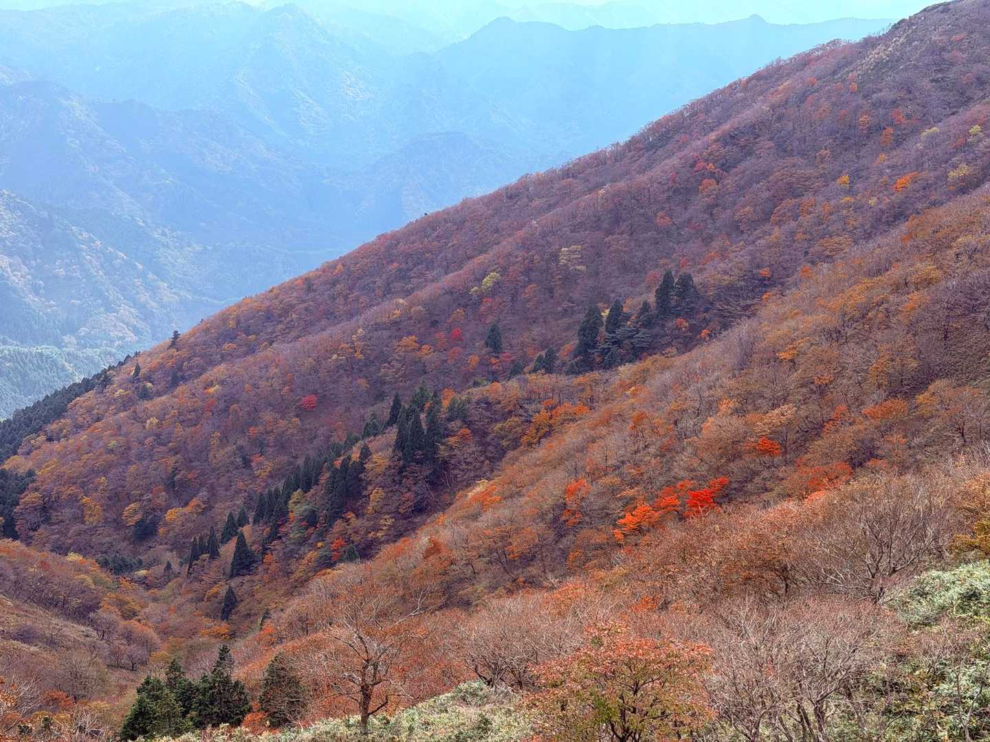 所々
赤が綺麗
