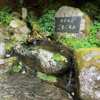 ごろごろ水　最高！