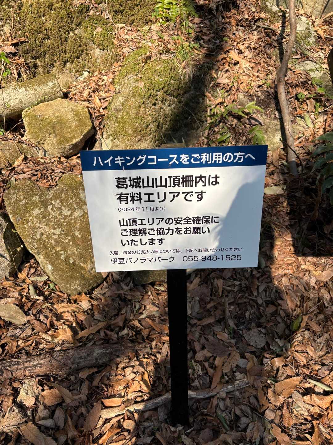 有料なのでこちらには行きません