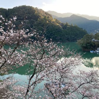 庵の湯からの十津川の眺め