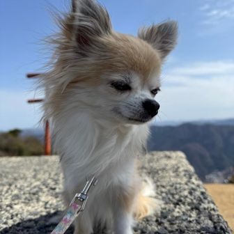 来ないねぇ〜…