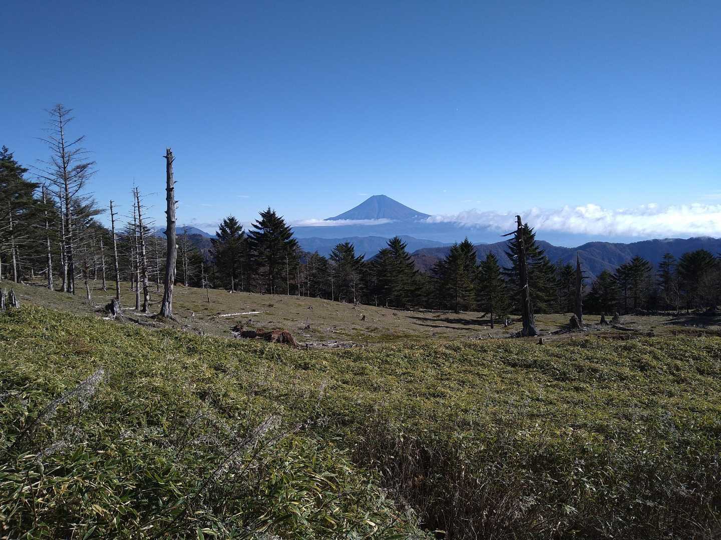 百畳峠-山伏-大笹峠-小河内山 往復コースの写真