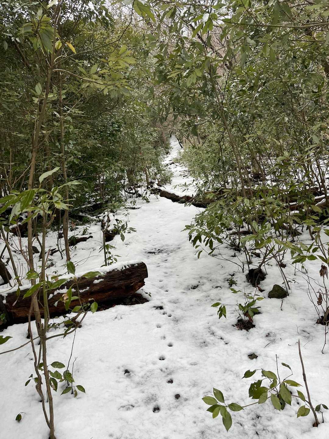 雪山じゃん！