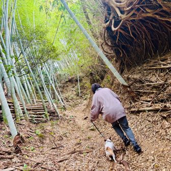 武山の登山口は2つあって
こちらは近道の山道ルート🎋

お散歩スタイルはUNIQLOスウェット😁
こちらも双子コーデ👭笑