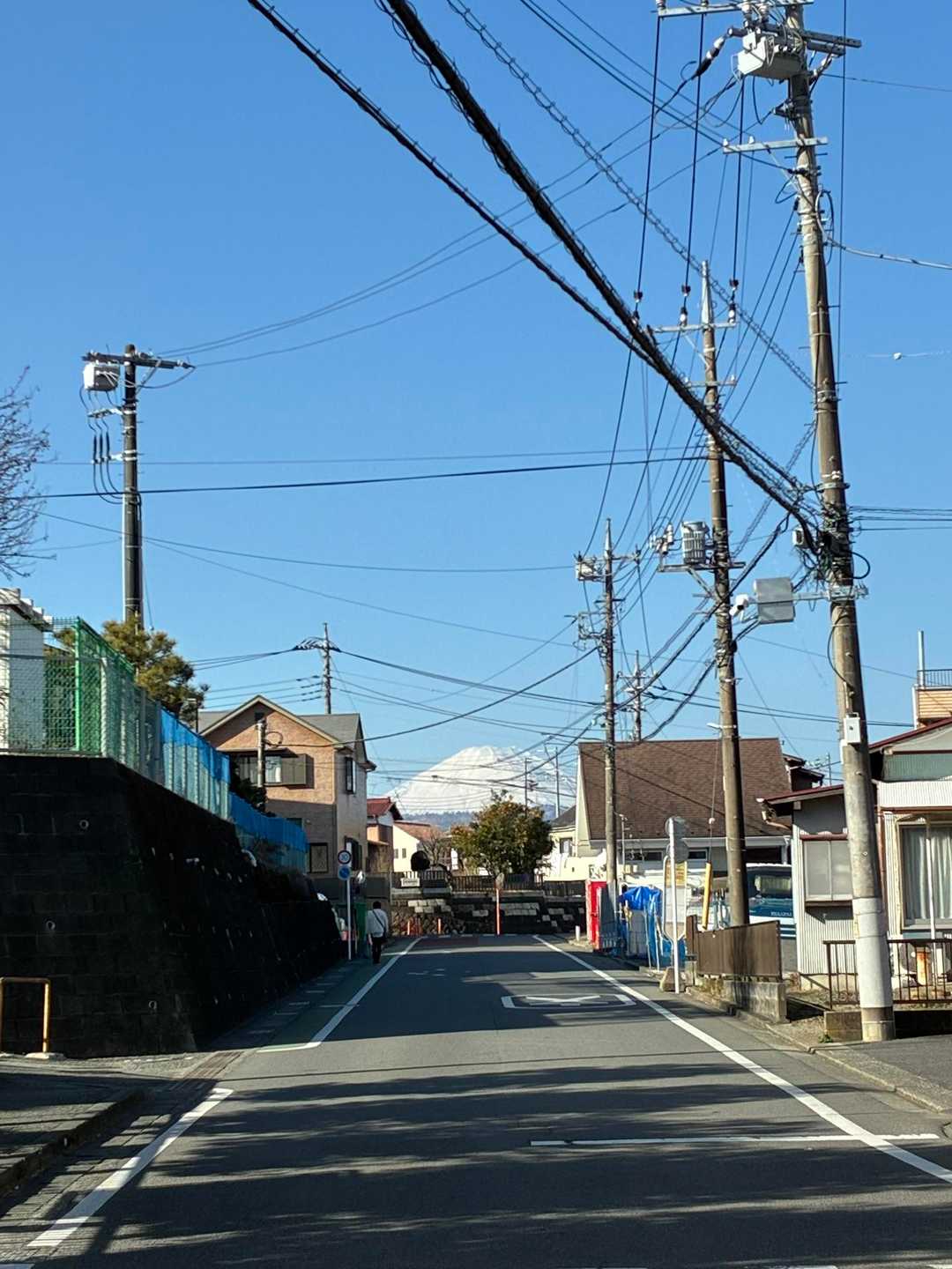 渋沢駅-頭高山-浅間台-秦野駅 縦走コースの写真