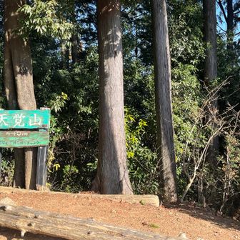 ここで、熱い紅茶を飲みながら日向ぼっこ休憩をした