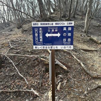 白瀬峠から東ボタンブチを目指します♪