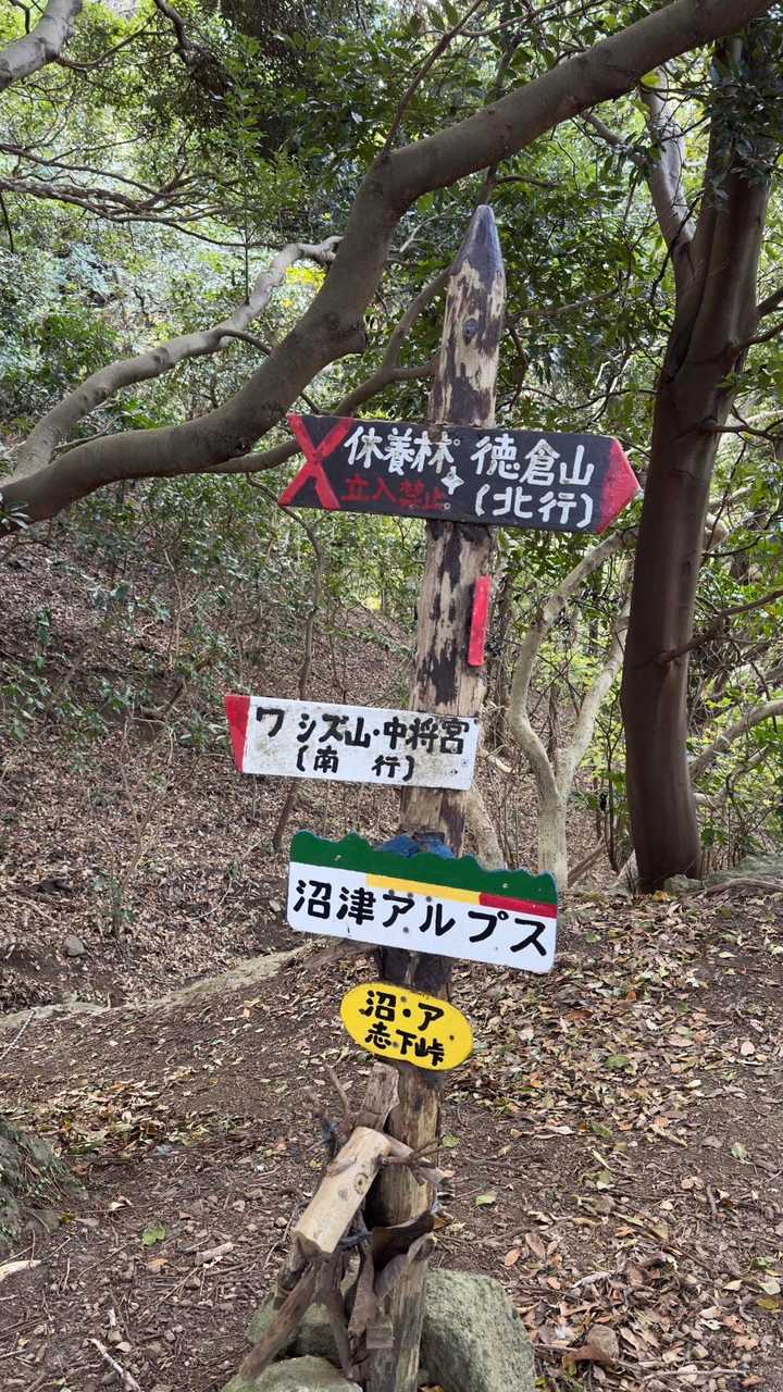 沼津アルプス（香貫山・横山・徳倉山・鷲頭山・大平山） の写真 37