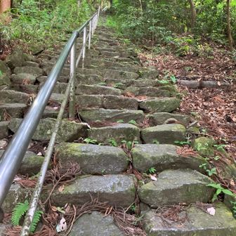 初めて見たときは「うげっ」とか叫んでしまった記憶、今ではこんなの何ともないです。