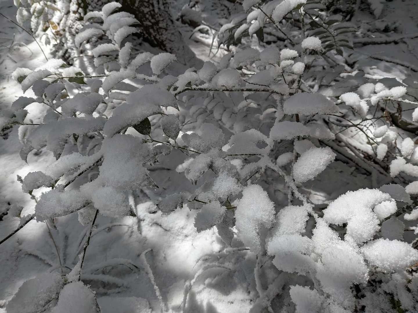 明日は雪山登りにちょうどいいかも〜