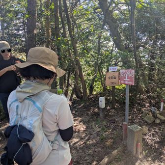 立石山山頂

今日の縦走コースは山頂や縦走路から近江の景色がお楽しみ頂けますが、古城山、タムシバ山
立石山は眺望がありません。
ここで縦走の漸く半分くらいきた感じか。