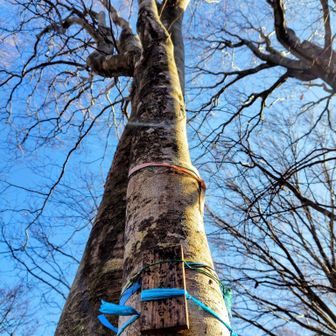 アルプス展望台の標識