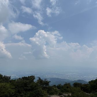 メマトイに付きまとわれながら気づけば山頂