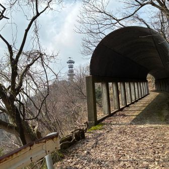トンネルって歩いて通るとドキドキする…