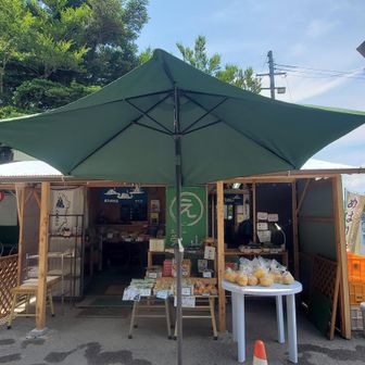 スタート地点に戻ると駐車場待ちの車が並んでる…売店でおみやげ購入