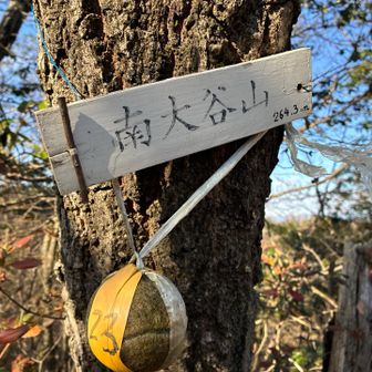 12　南大谷山　🎾23番