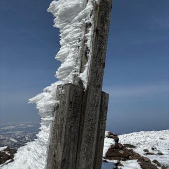 さんちょーー❣️