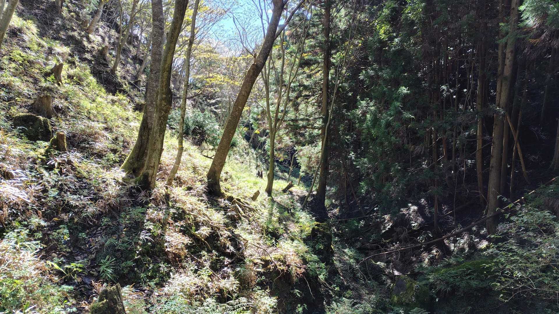 柚之木峠から南側に降りて行く