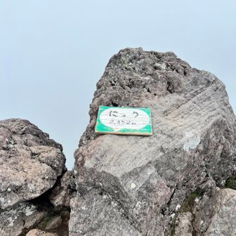 ニュウ登頂！何も見えん真っ白😅