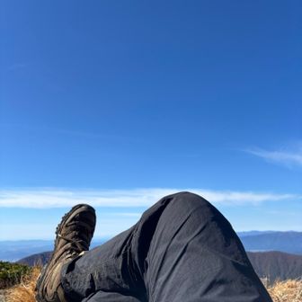 疲れたので寝ます