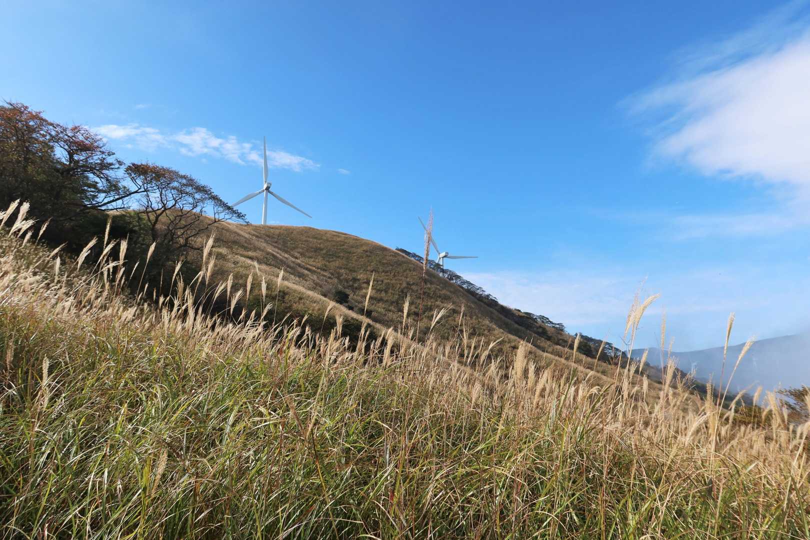三筋山周回 | 風わたるススキの平原を超えて、水平線に伊豆の島々を望む大展望への写真