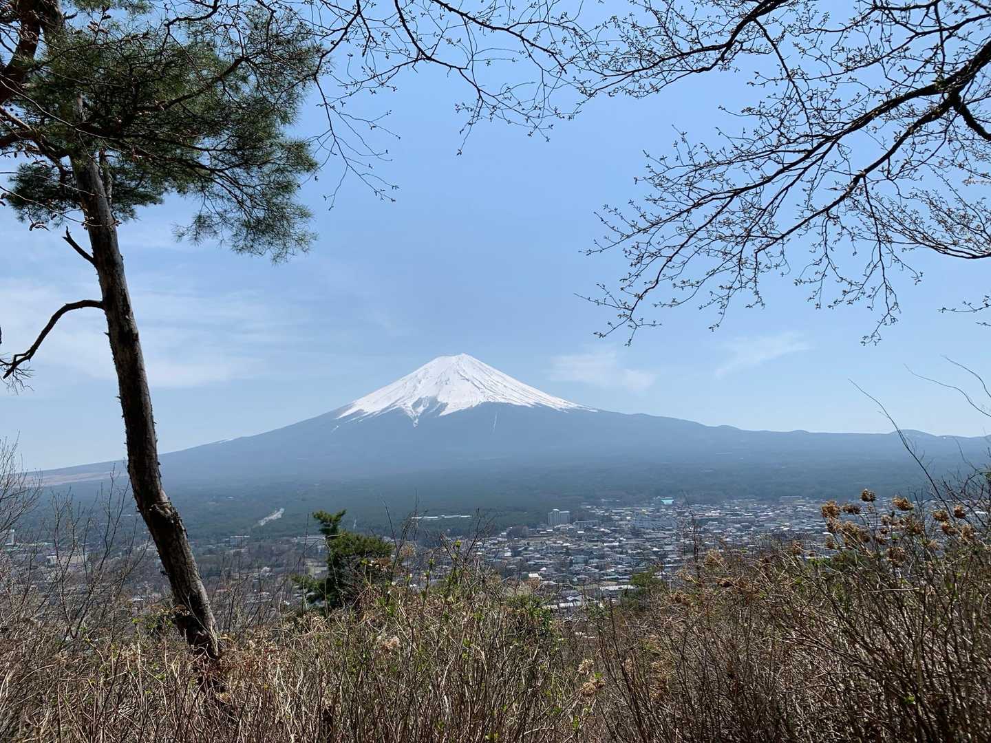 東屋のある広い休憩所
左には富士山🗻
右には⋯