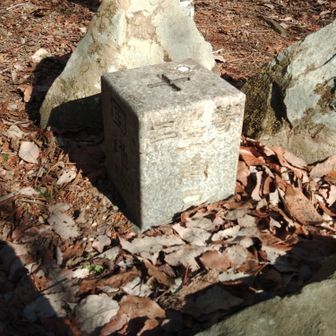 アップ。ここで朝倉山方面から登ってこられた方と三角点のお話し。レア趣味が一致してうれしい。