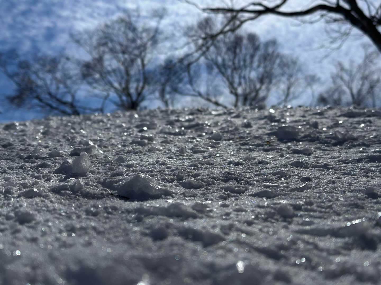 木から落ちた雨氷がキラッキラ✨上手く撮れなかったから想像してください🤣

だんだん風が出てきて寒くなってきたので上着を一枚羽織る。山頂大丈夫かなぁ…