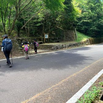 登山口から道路横断✨