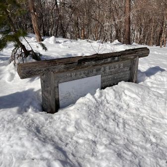 案内板もこの通り