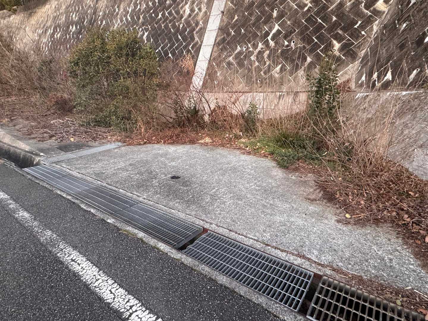 ここにも停めれる…